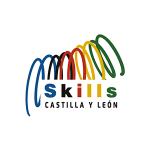 Logo Castilla y León 2021
